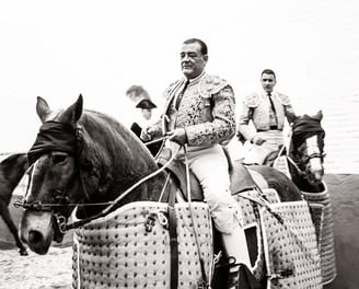 Caballos de Picar. Cuadra de Caballos Centenaria, Enrique Peña. Maestranza de Sevilla