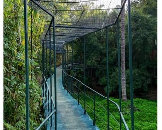 Bamboo House Vythiri