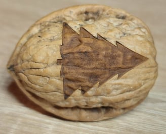 Wallnuss mit einem Tannenbaum Motiv