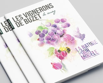 Les Vignerons de Buzet Le mag