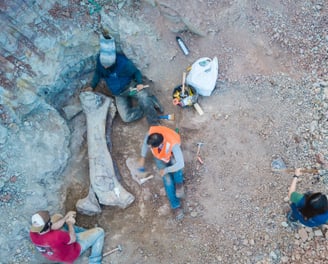 a group of people standing around a group of people
