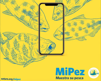 Promo image of MiPez app showing 4 fish centered inside a smartphone.