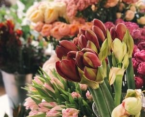 a bunch of flowers in a vase on a table