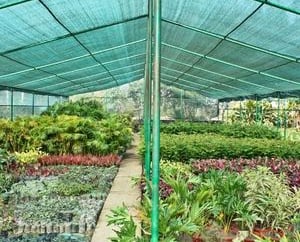a greenhouse with plants and a green roof