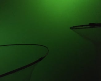 a green light shining through a green wall