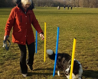 Gabriele Bleier beim Agility Training