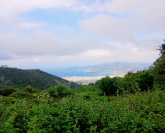 Pelion herbal journey with medical herbalist Emmanouil Manos at guided herbal walk with Volos at the
