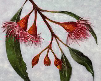 Eucalyptus blossoms painted in Acrylic
