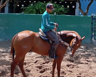 Doma de Cavalo no redondel do Vitória em Cristo Ranch
