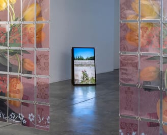 sanatorium galeri
