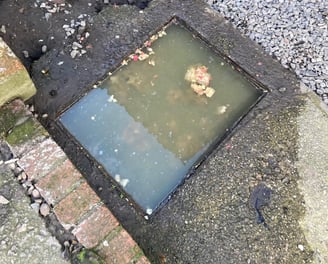 Blocked Drain in Warrington