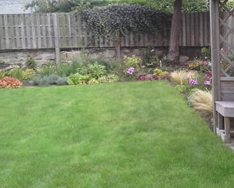 traditional mixed planting in a border