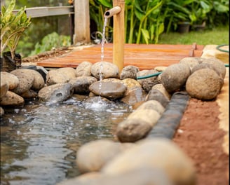 Feeding fish in a pond at Casa Candali, a farmstay surrounded by nature.