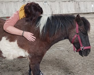 Une personne qui trouve du réconfort dans le soutien d'un cheval