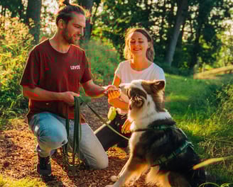Achtsames Coaching mit Hund im Wald – individuelle Begleitung bei Takoda