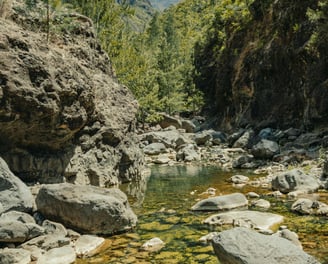 Petit bassin naturel à La Réunion avec vue sur les montagnes par temps ensoleillé