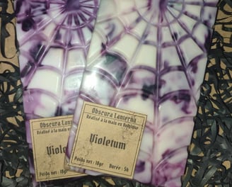 Tablettes parfumées en cire végétale