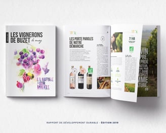 Rapport de développement durable Vignerons de Buzet