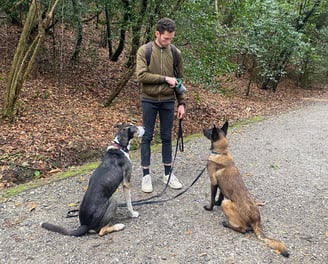 entrainement éducateur canin pendant une session d'éducation avec son chien à Bayonne, anglet