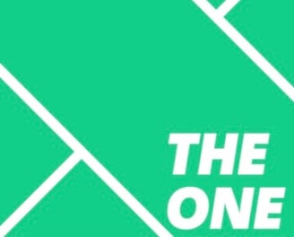 The One Pickleball Academy