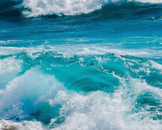 An Aquatic Splash - ST. TOMAS
