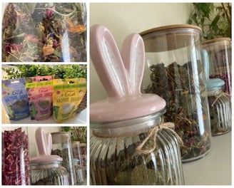 rabbit treat jars