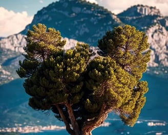 la faune corse