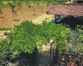 Trang trại tại Mế Farmstay