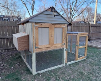 Farm Fresh Eggs Twin Cities Minnesota