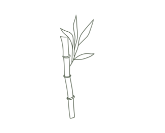 Sketch of a bamboo stem with leaves, symbolizing nature and sustainability.