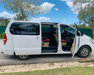 a van parked in a parking lot with a dog