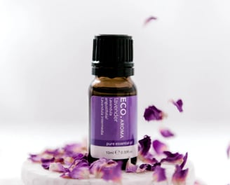 lavender essential oil