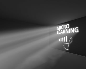 Microlearnsupport.nl