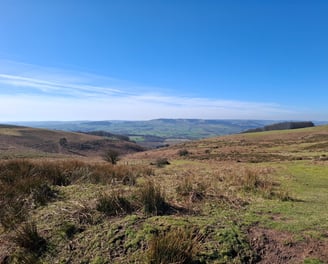 Outdoor therapy Somerset