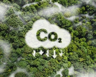 Nuage de CO2 capté par une forêt