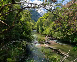 Fluss intakter Lebensraum