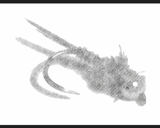 La mouche de pointe - pêche à la mouche