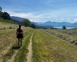 Chemin au milieu d'un près avec le foin et la vue sur le lac du Bourget et les montagnes