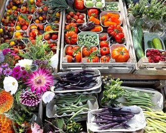 a variety of vegetables and fruits and flowers from Chiswick House Kitchen Garden