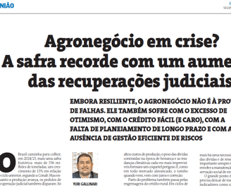 Artigo no jornal Estado de Minas