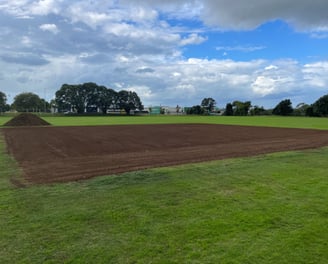 cricket wicket renovation