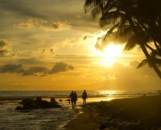 a couple of people walking on a beach
