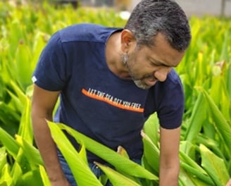 Vivek