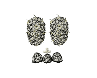 Conjunto de Flores A Luxo I consolare