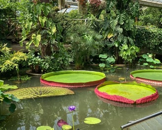 Green Circle Creative Marketing Agency at Kew Gardens