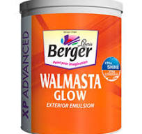 5. BERGER WALMASTA GLOW -01 LTR