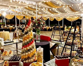 Grand reception setup for wedding
