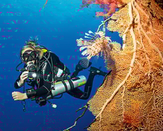 Escuela de Buceo Puerto Cortes, Scuba Diving Honduras 