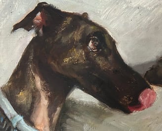 El galgo Iro