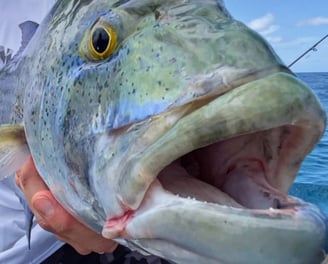 Latham Island Fishing Charters Zanzibar - Happy fisherman showcasing a Bluefin Trevally